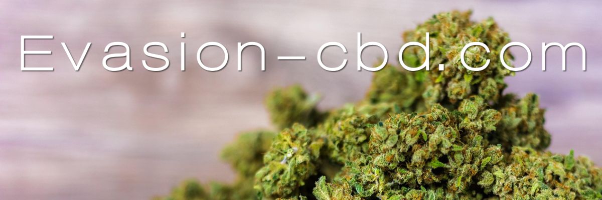 evasion-cbd.com