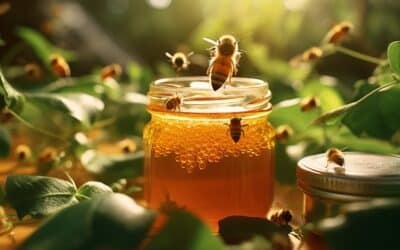 Le miel au CBD : un produit aux effets surprenants