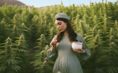 Le thé au CBD pour les femmes enceintes : ce qu’il faut savoir